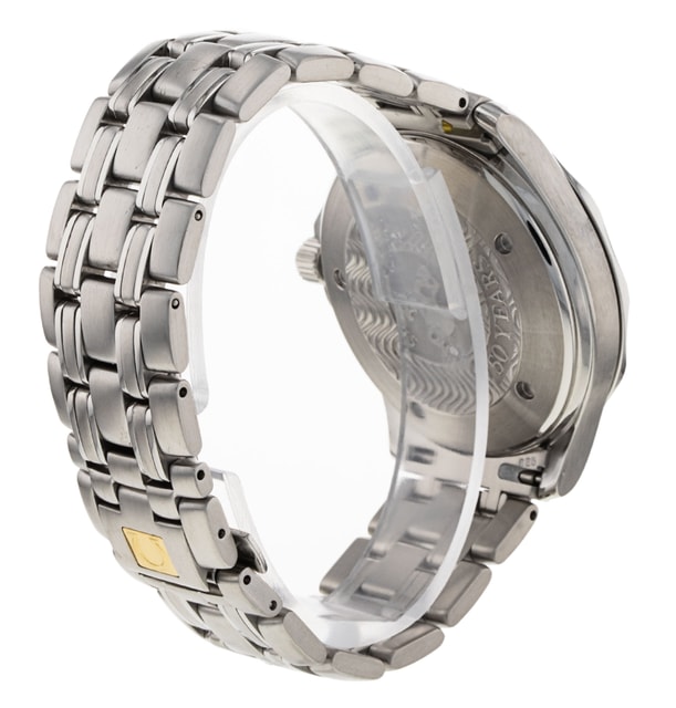 Omega Seamaster GMT 2534.50.00 Image 3